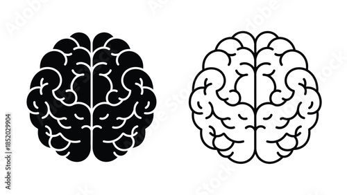 Two contrasting views of a human brain one solid one outlined