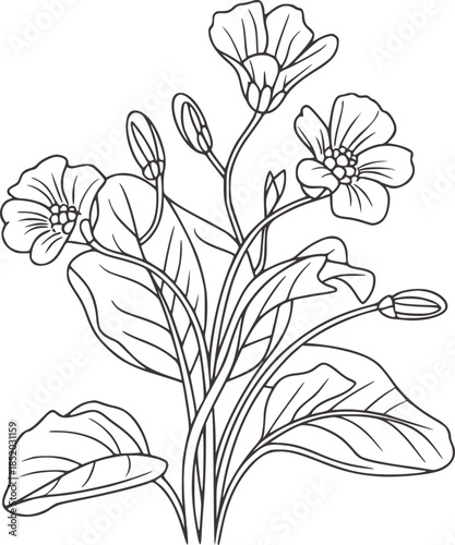 Black and white line of a flowering plant with buds and leaves