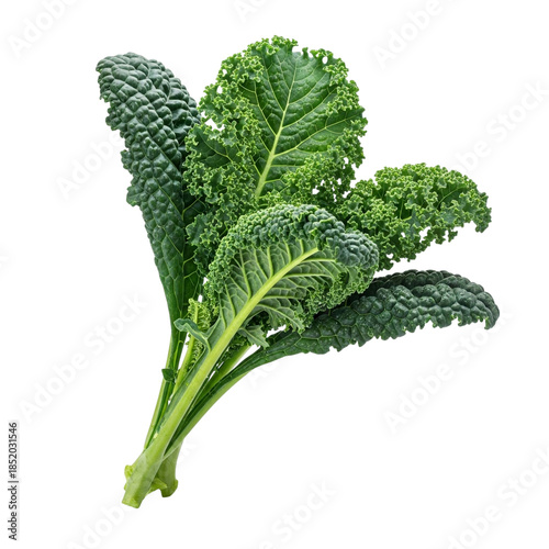 Fresh Kale Bunch with Clean Presentation
