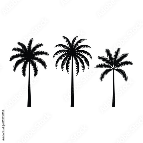 Three silhouetted palm trees against a plain white background