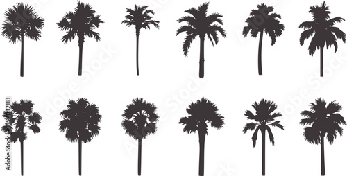 Ten black palm tree silhouettes in two rows white
