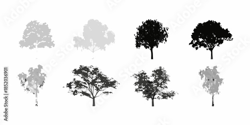Collection of diverse tree silhouettes in varying shades of gray and black