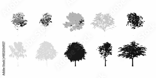 Variations of tree silhouettes in grayscale tones and differing foliage styles