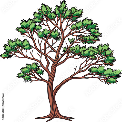 Green tree isolated on white background