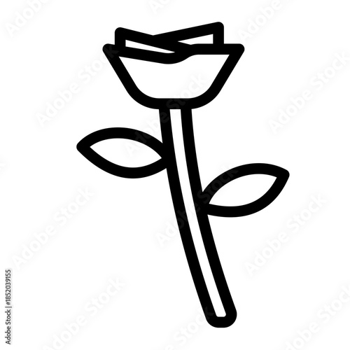 rose flower