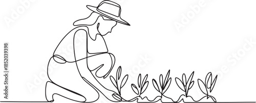 Continuous one line drawing young female farmer planting plant shoots in the ground.one line  vector illustration  with out background.