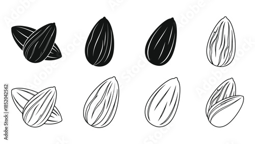 Sketch of various almonds in different arrangements and perspectives