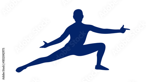 Elegant silhouette of a person practicing tai chi movement, smooth flow and energy balance wellness concept.

