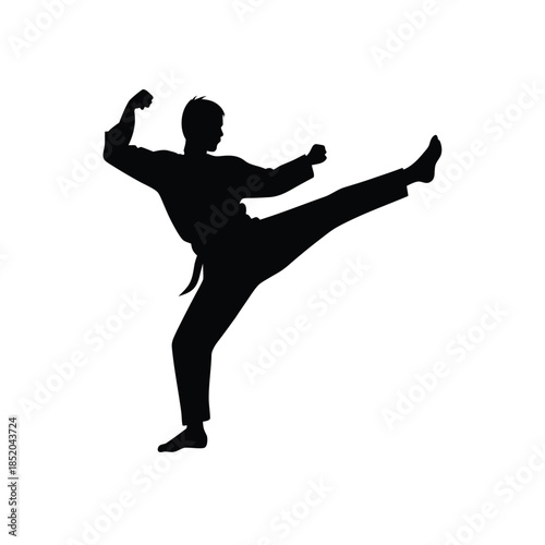 Martial artist performing a high kick with power and precision in a black silhouette