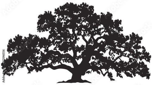 Silhouette of a majestic oak tree with dense foliage against white background