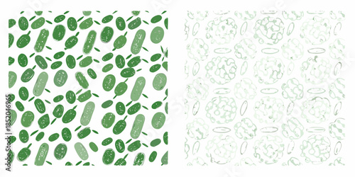 A vibrant comparison of green cucumber and pale cauliflower patterns on white backgrounds