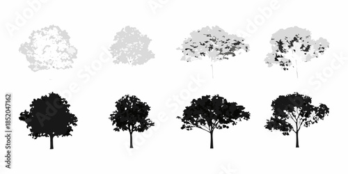Variations of tree shapes and silhouettes in grayscale and black