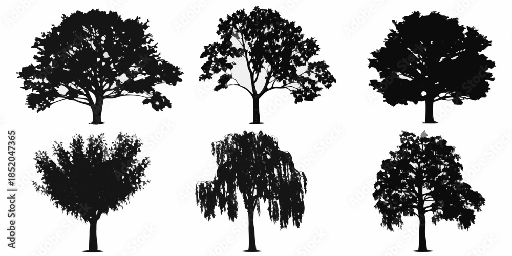 Fototapeta premium Silhouettes of diverse trees against a clean white background nature s artistry