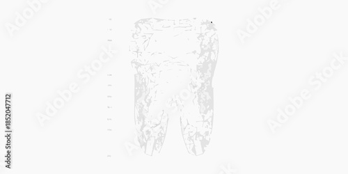 A detailed illustration of a human tooth against a plain white background