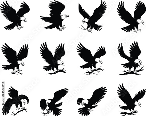 PrintBald eagle silhouette illustration, flying landing poses vector, bird of prey design outline icon, wildlife freedom strength patriotic graphic art