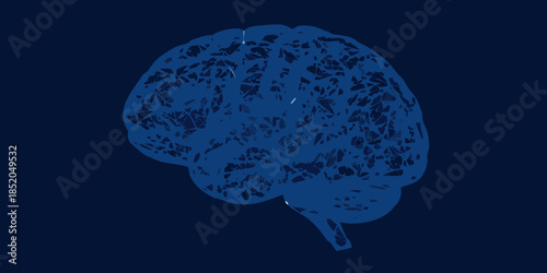 A detailed illustration of a human brain against a dark blue background