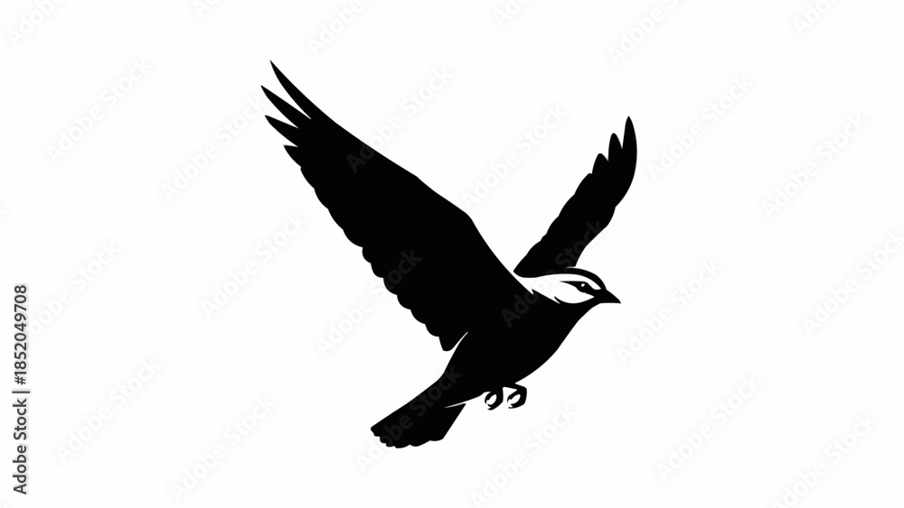 Obraz premium Silhouette of a bird of prey in flight.