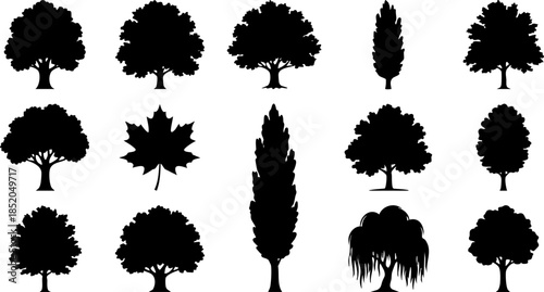 Collection of various tree silhouettes in black and white, representing diversity in nature and flora
