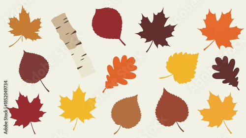 Collection of Autumn Leaves and Birch Bark Illustration.