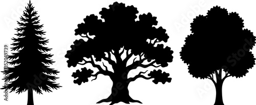 Diverse vector silhouette collection of three distinct trees a tall evergreen conifer, a robust deciduous oak, and a classic broadleaf tree, ideal for natural landscape design elements