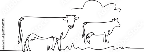Cows on pasture in One continuous line drawing.one line  vector illustration  with out background