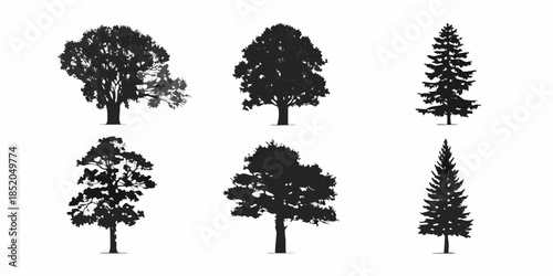 Silhouettes of various tree types arranged in a symmetrical display