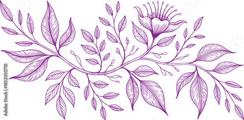 Purple floral branch with leaves and a single flower in a detailed line style