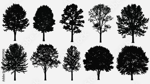 A collection of silhouetted trees in varying shapes and sizes displayed together