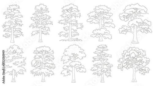A collection of diverse stylized tree outlines in a repeating pattern
