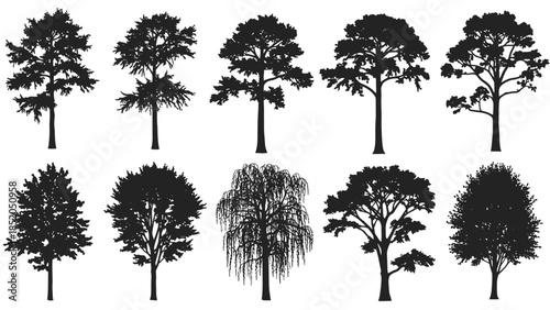 A collection of various tree silhouettes in black against a white background