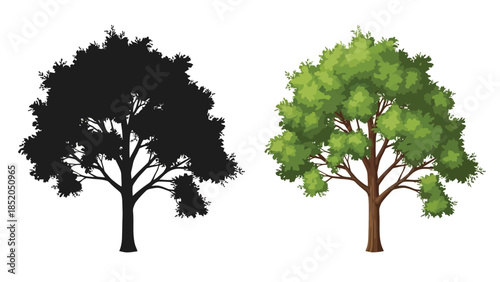 Contrasting trees a silhouette and a fully colored leafy tree illustration