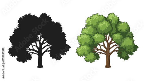 A visual comparison of a tree silhouette and a fully colored tree