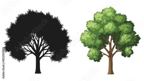 A side by side comparison of a green tree and its black silhouette