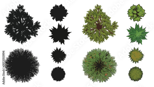 Aerial view of diverse trees a collection of top down tree canopies