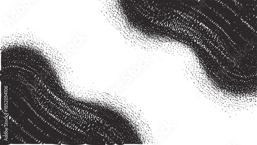 Contrast black and white grainy texture with organic flowing shapes