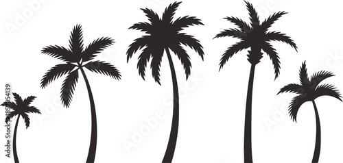 Five black palm tree silhouettes in minimalist style white