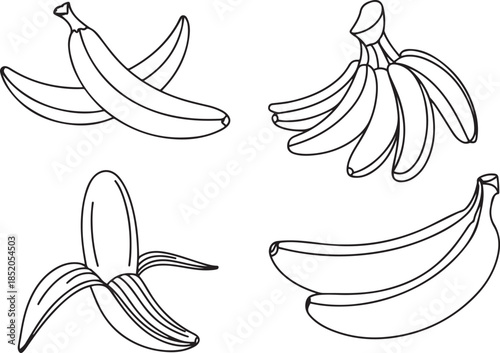 Hand drawn outline one and variety group of tropical fruit with peel, bunch on branch, whole banana.one line  vector illustration  with out background