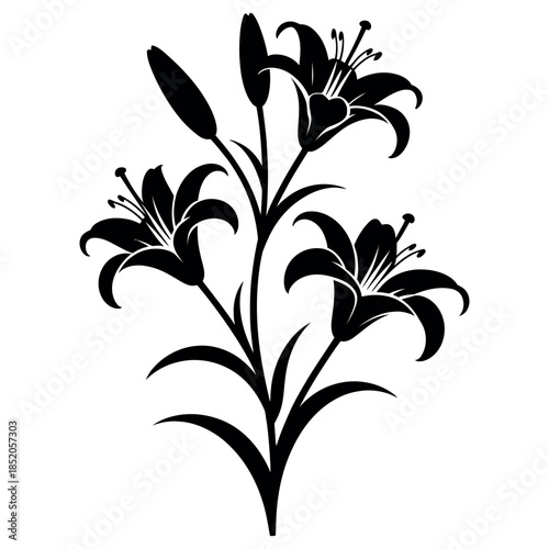 Black and white silhouette of lily flowers beautiful bloom design plant blossom symbol floral art for decoration and invitations