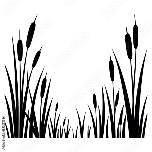 Cattails in Field of Grass with Rural Plants Near Marsh with Tall Reeds as Nature Background Near Water