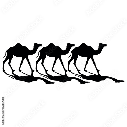 Desert Wildlife Group of Camels Walking With Shadows in Black Silhouette Style Flat Vector Illustration Isolated on White Background