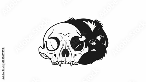 Creative Yin Yang Symbol Skull and Skunk Illustration.