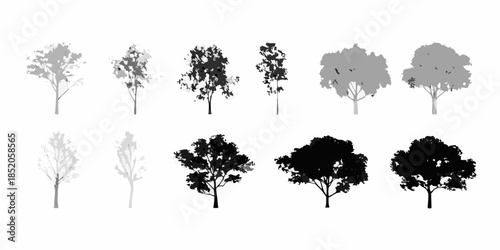Collection of tree silhouettes in varying shades of gray and black