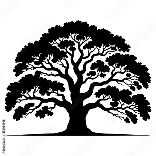 Silhouette Tree With Branches And Leaves Nature Symbolism Tree Silhouette With Dense Foliage Providing Shade And Shelter Symbol Of Life Growth