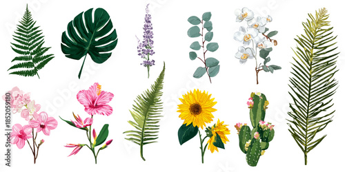 A collection of various botanical illustrations featuring different types of leaves, flowers, and plants.