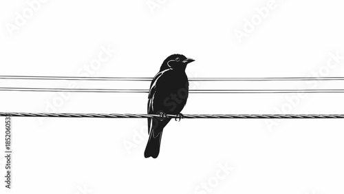 A solitary black bird perched on a wire against a stark white background.