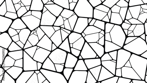 Voronoi diagram illustration, geometric partition, abstract cells, black and white, vector art, editable layout, spatial design, scientific texture