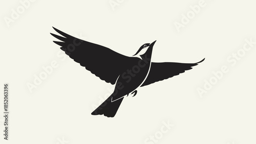 Silhouette of a bird in flight with wings spread wide.