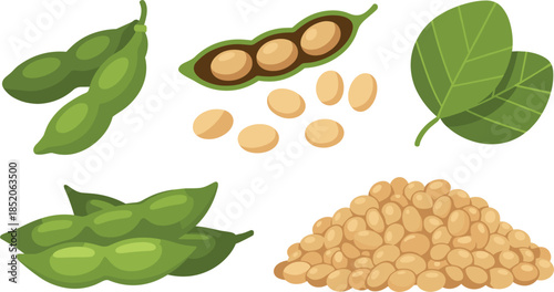 Flat Vector Illustration of Coffee Collection with Vanilla Pods Cinnamon Sticks and Whipped Cream