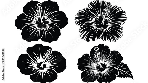 Black hibiscus flower silhouette collection, tropical floral illustration, botanical outline design, monochrome nature decorative elements vector set for creative projects