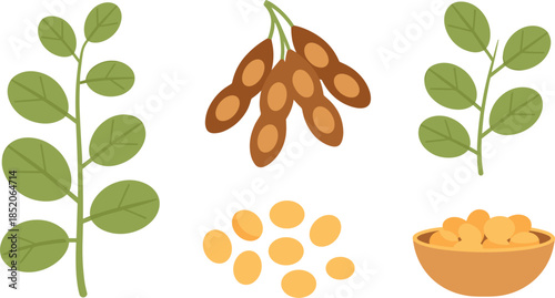 Flat Vector Illustration of Soybeans in Pods with Green Leaves Dried Seeds and Bowl